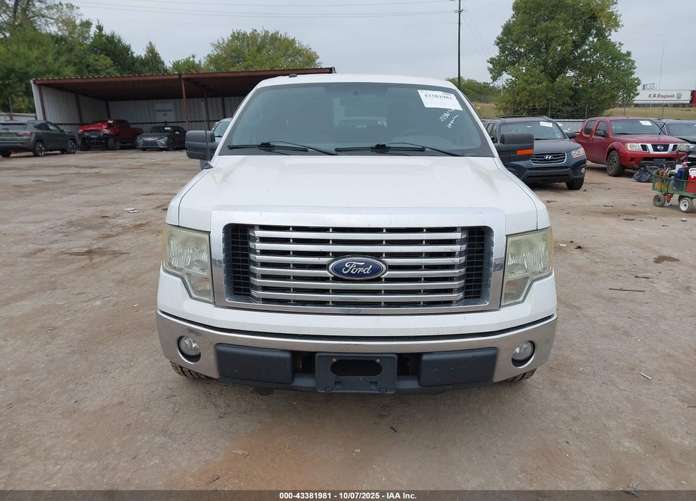 2010 FORD F-150 VIN: 1FTEW1C83AFC91068
