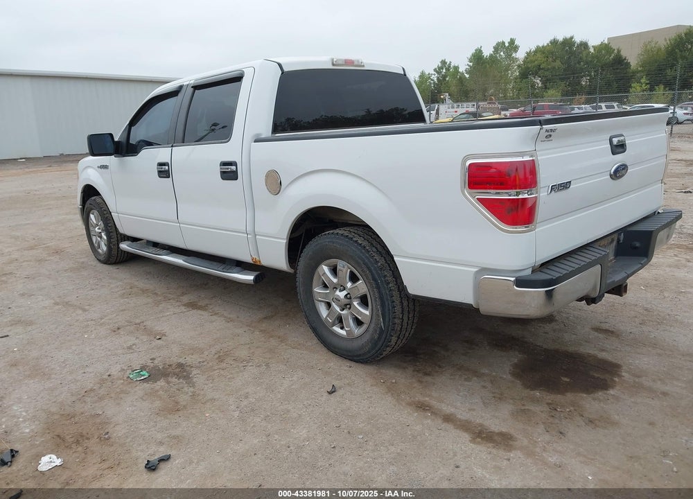 2010 FORD F-150 VIN: 1FTEW1C83AFC91068