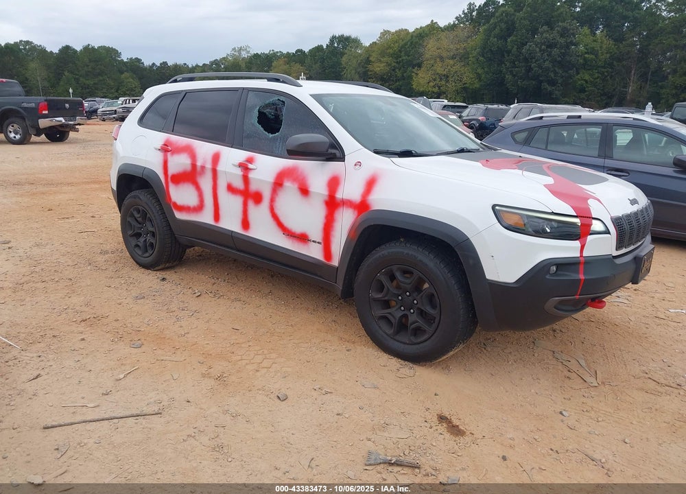 2020 JEEP CHEROKEE TRAILHAWK VIN: 1C4PJMBX8LD517802