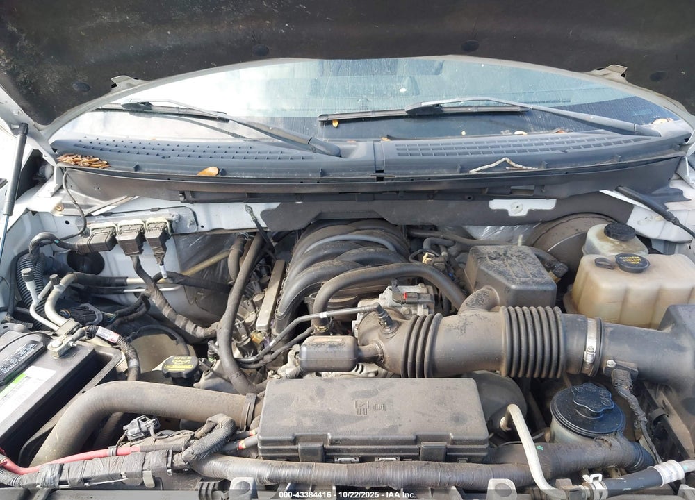 2010 FORD F-150 VIN: 1FTEW1C82AFA81125