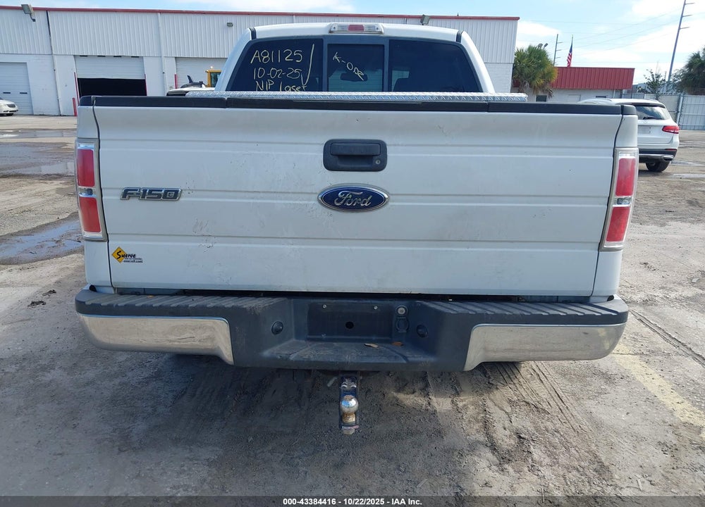 2010 FORD F-150 VIN: 1FTEW1C82AFA81125