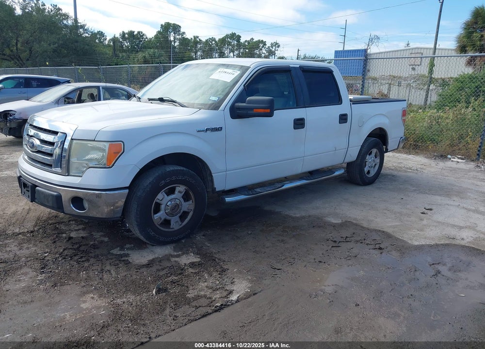 2010 FORD F-150 VIN: 1FTEW1C82AFA81125