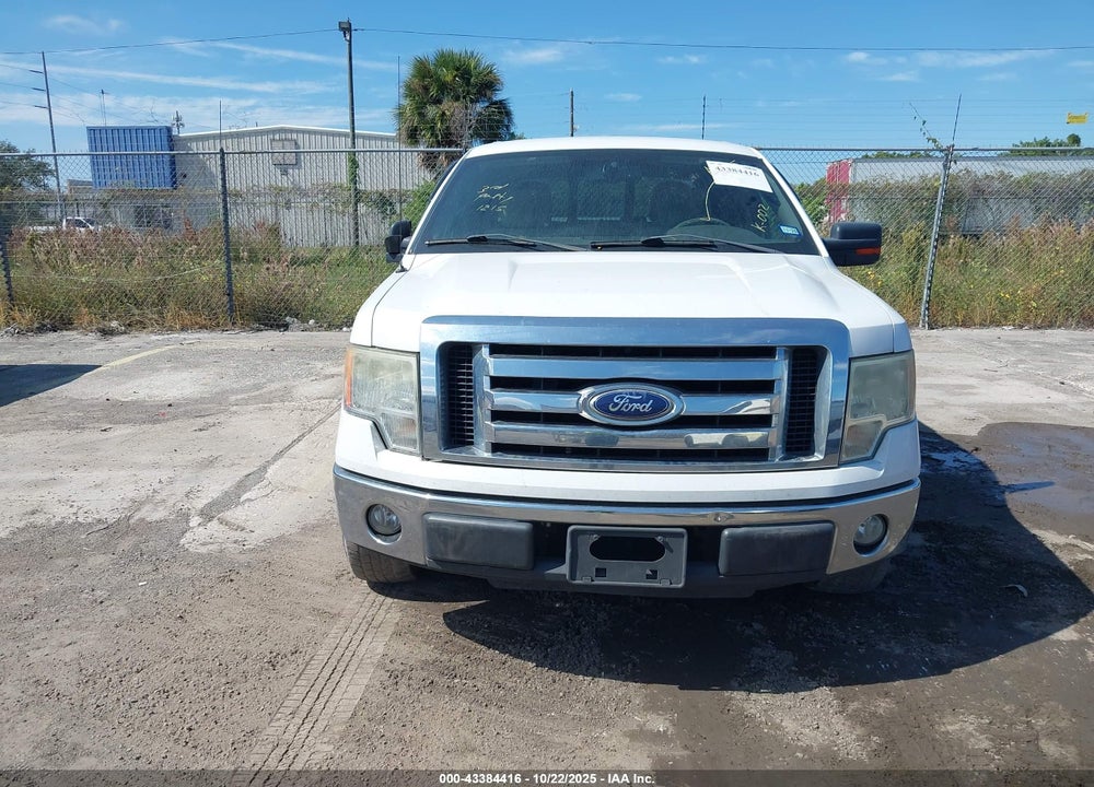 2010 FORD F-150 VIN: 1FTEW1C82AFA81125