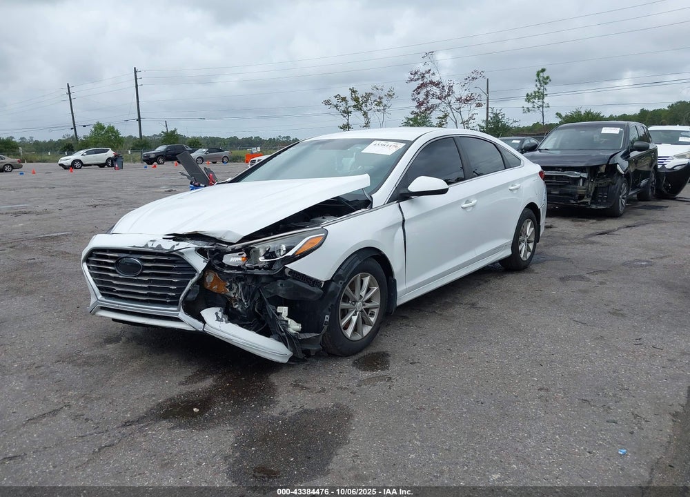 2019 HYUNDAI SONATA VIN: 5NPE24AFXKH801535