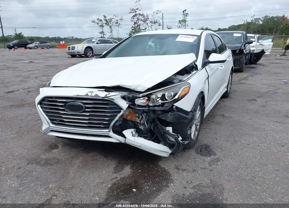 2019 HYUNDAI SONATA VIN: 5NPE24AFXKH801535