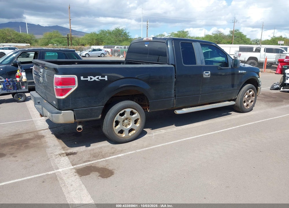 2010 FORD F-150 VIN: 1FTFX1EV8AKE01060
