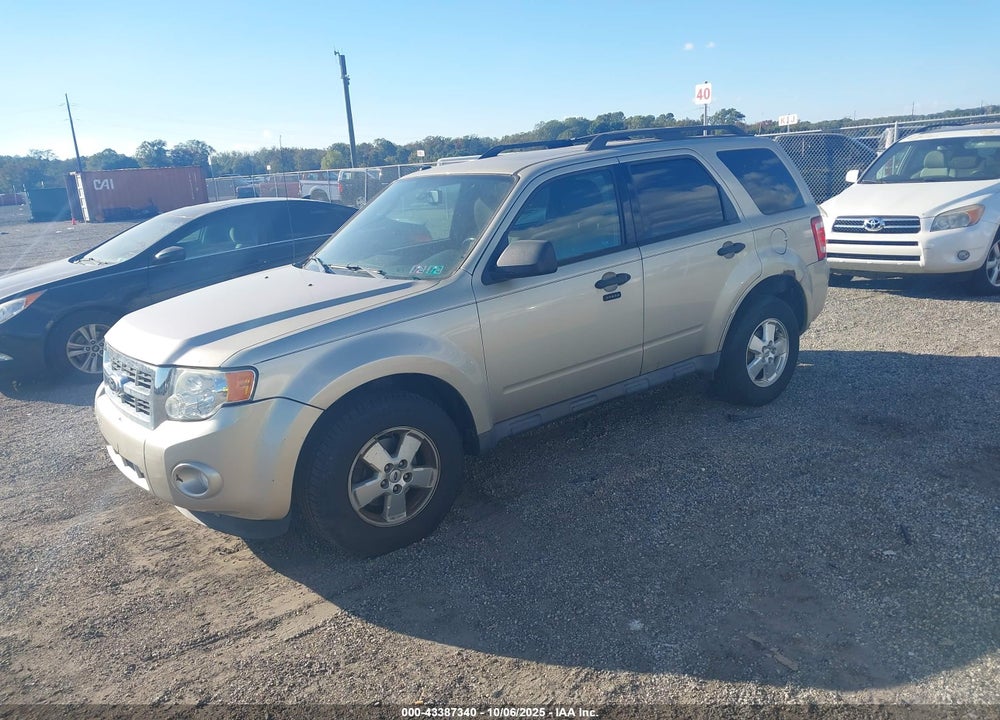 2011 FORD ESCAPE XLT VIN: 1FMCU0DG7BKA31127