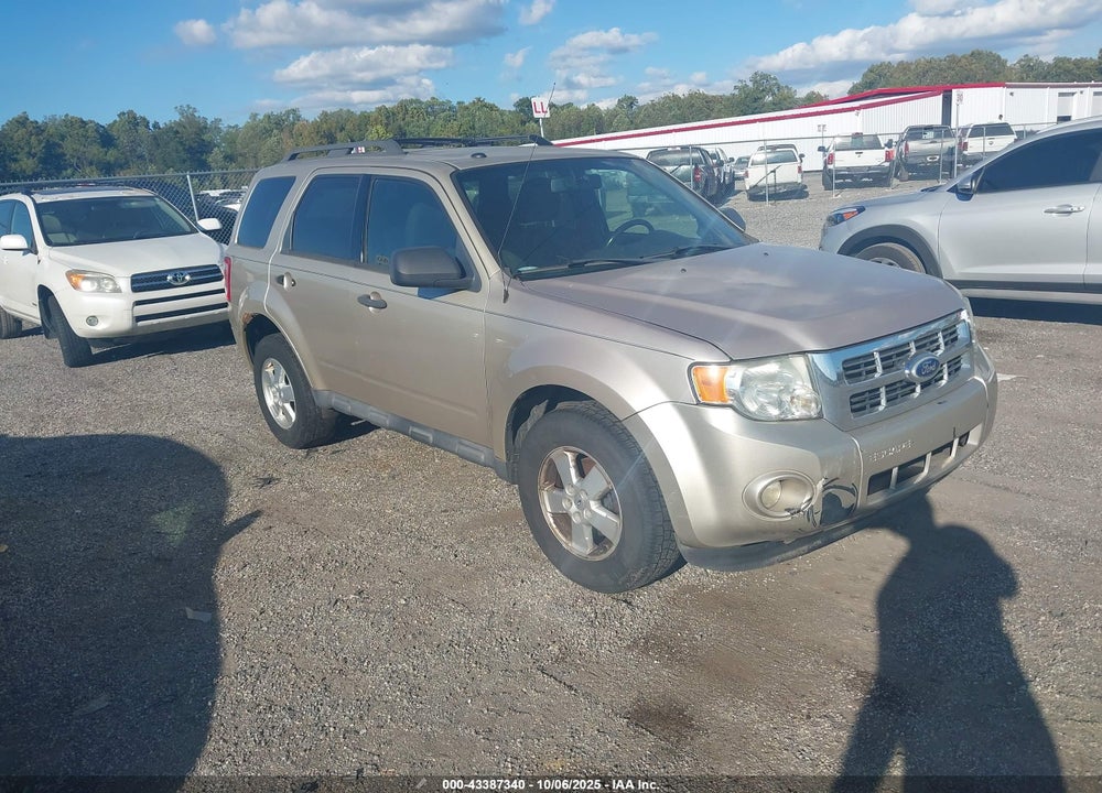 2011 FORD ESCAPE XLT VIN: 1FMCU0DG7BKA31127