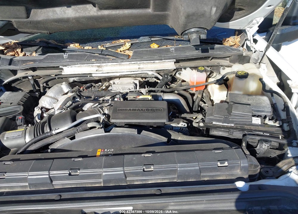 2020 CHEVROLET SILVERADO 2500 VIN: 1GC1YNEY9LF302378