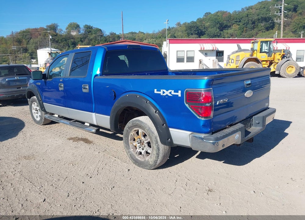 2010 FORD F-150 VIN: 1FTFW1EV3AFB04273