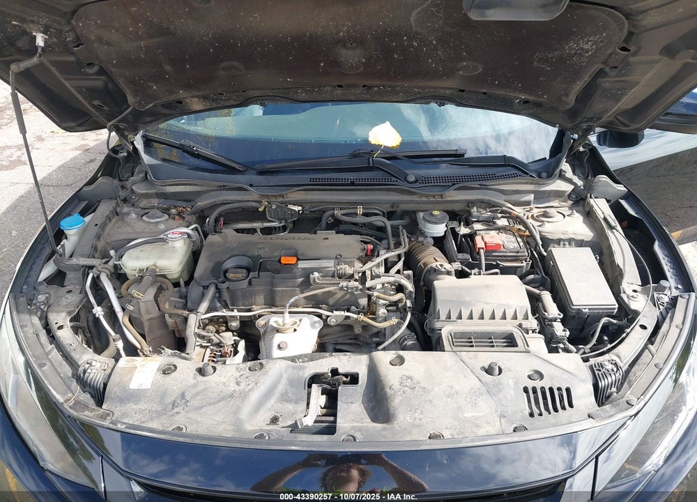 2019 HONDA CIVIC VIN: 2HGFC2F81KH536126