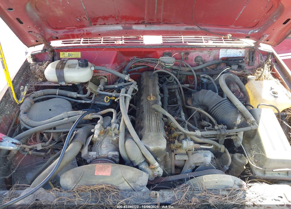 1988 JEEP COMANCHE VIN: 1JTMW64P4JT256005