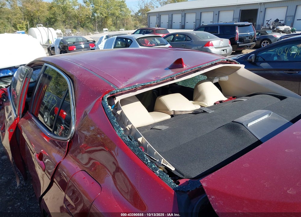 2019 TOYOTA CAMRY VIN: 4T1B11HK5KU734531