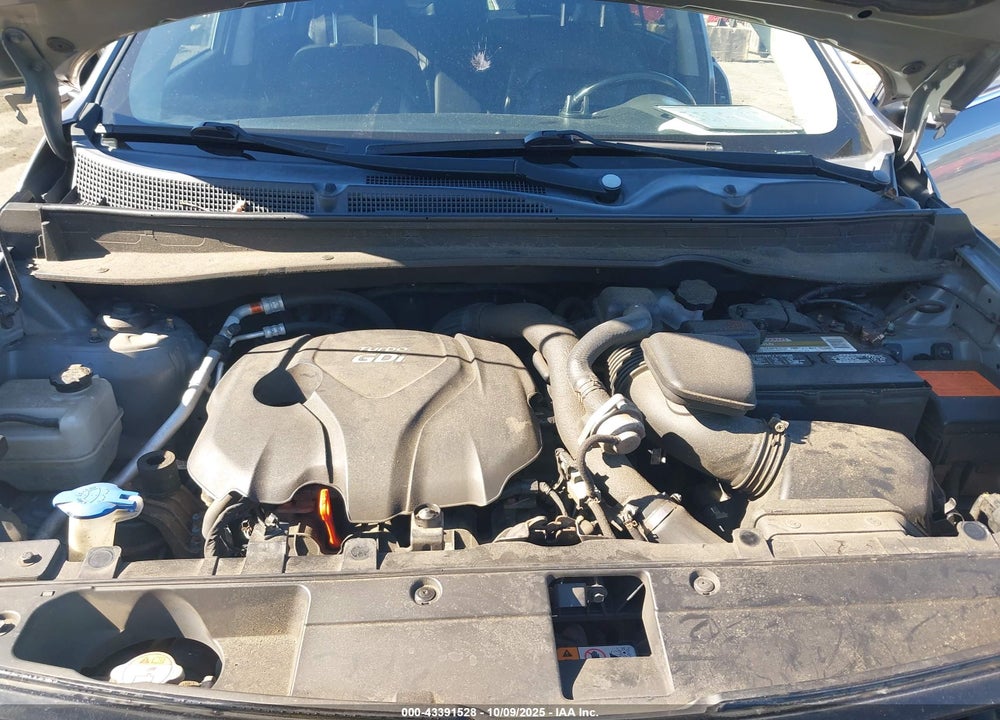 2013 KIA SPORTAGE SX VIN: KNDPCCA62D7518019