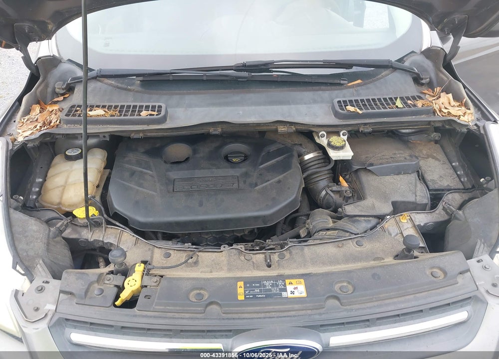 2013 FORD ESCAPE VIN: 1FMCU0G93DUC26839