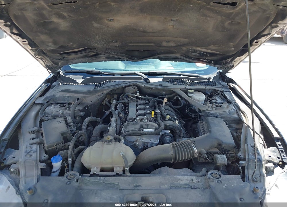 2021 FORD MUSTANG ECOBOOST PREMIUM FASTBACK VIN: 1FA6P8TH7M5137814