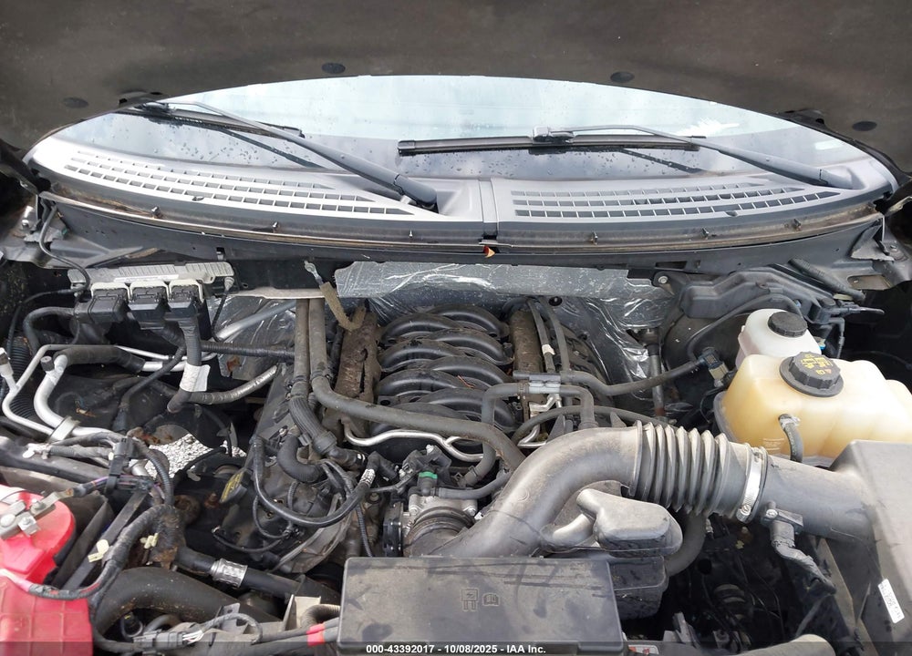 2013 FORD F-150 STX VIN: 1FTFX1EF9DFA99879
