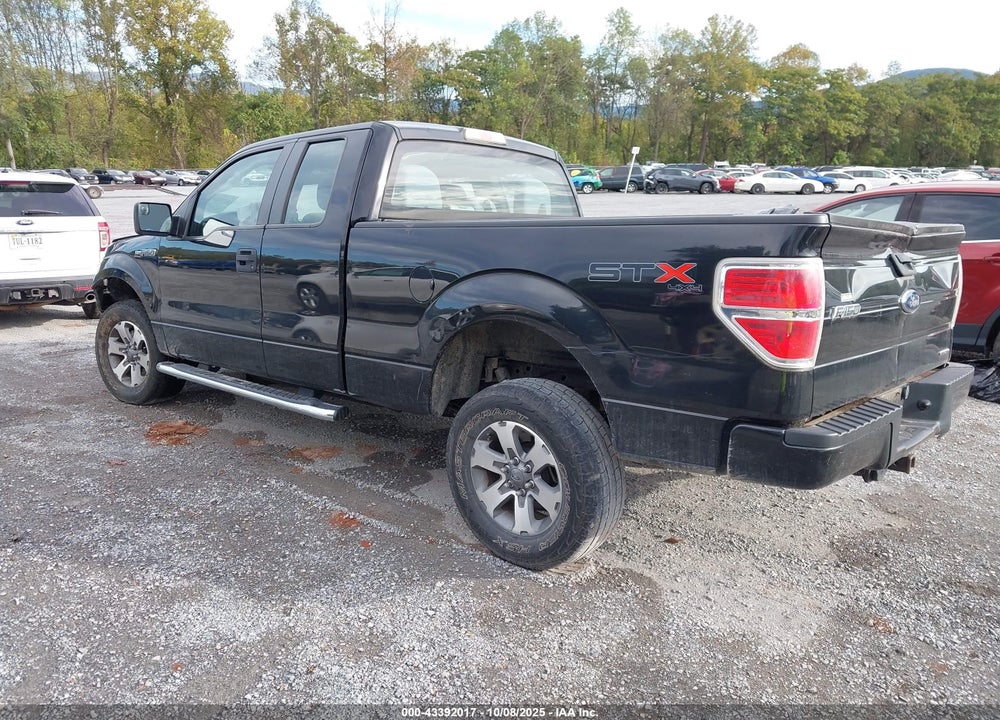 2013 FORD F-150 STX VIN: 1FTFX1EF9DFA99879