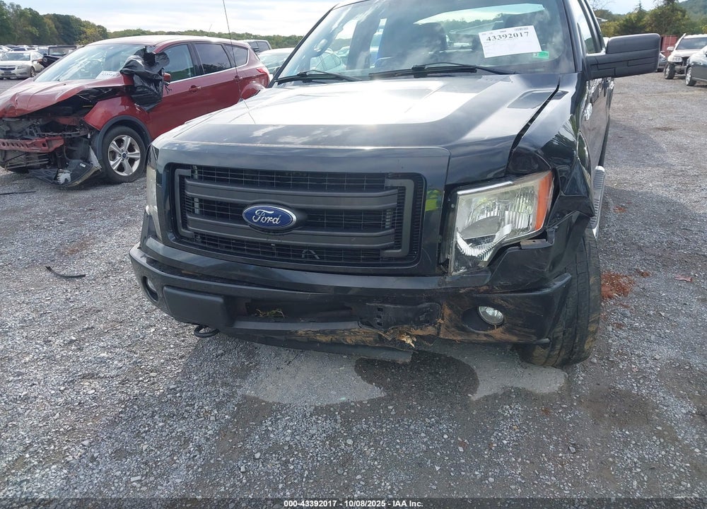 2013 FORD F-150 STX VIN: 1FTFX1EF9DFA99879