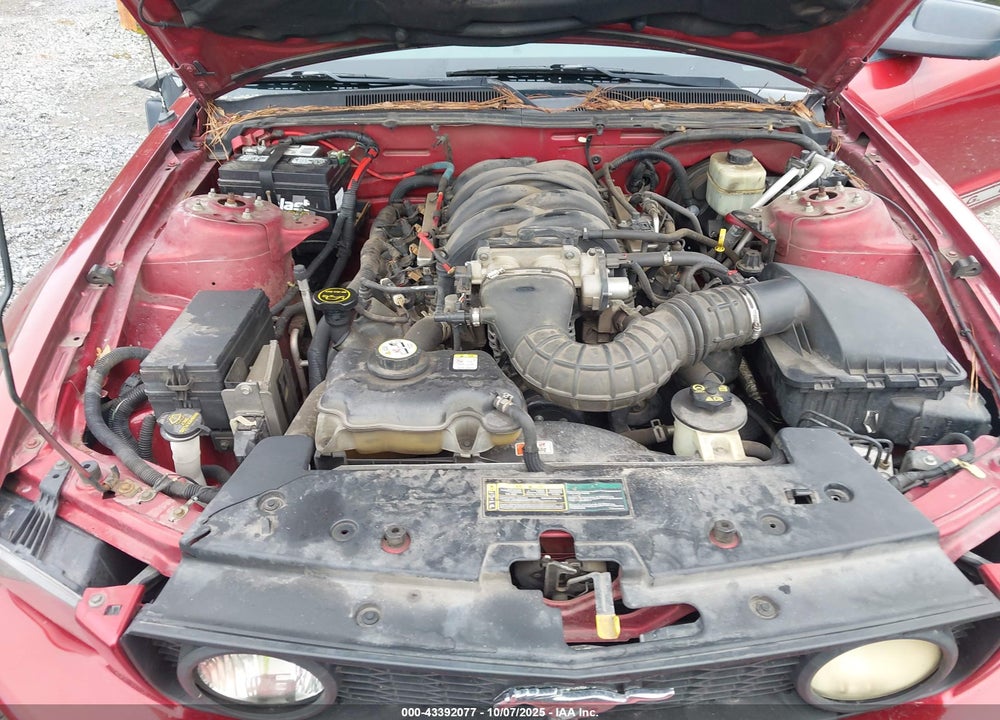 2006 FORD MUSTANG VIN: 1ZVFT82H065155479