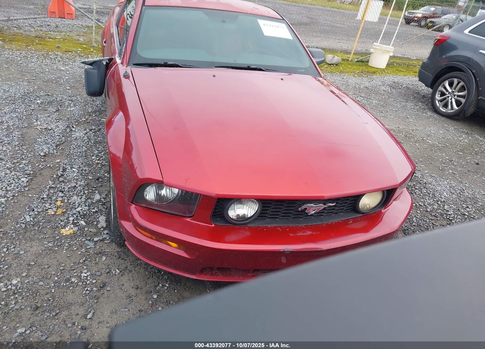 2006 FORD MUSTANG VIN: 1ZVFT82H065155479