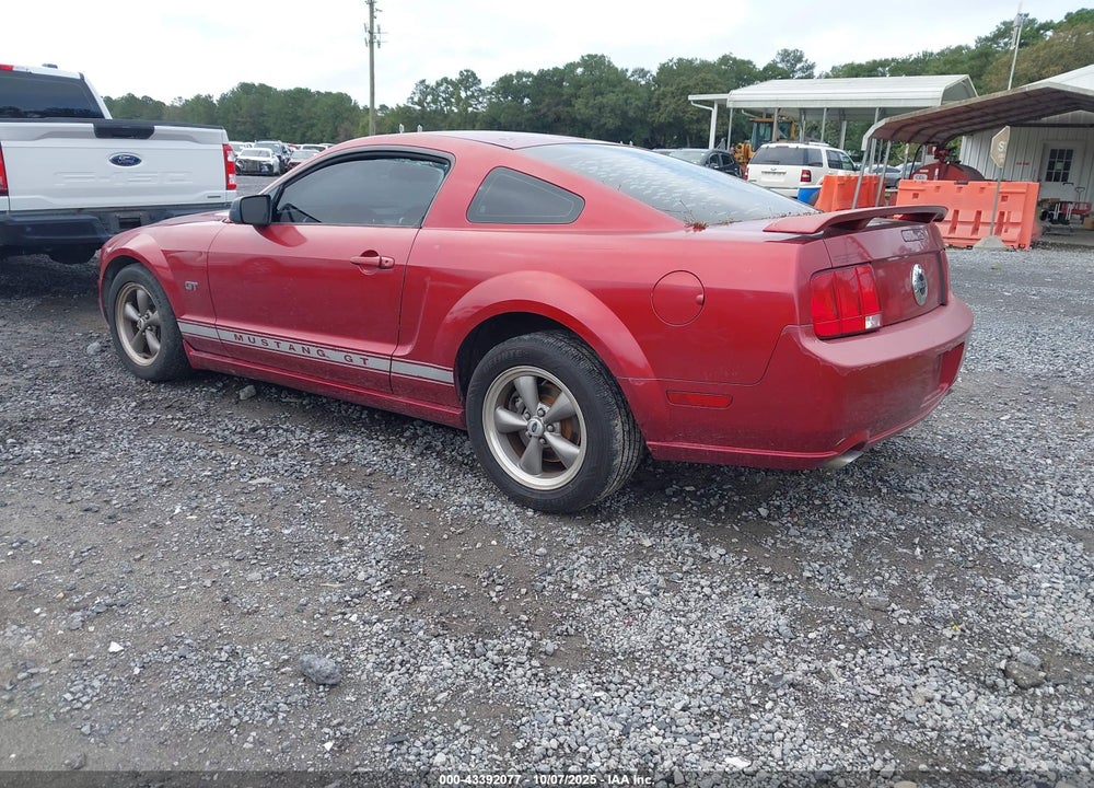 2006 FORD MUSTANG VIN: 1ZVFT82H065155479