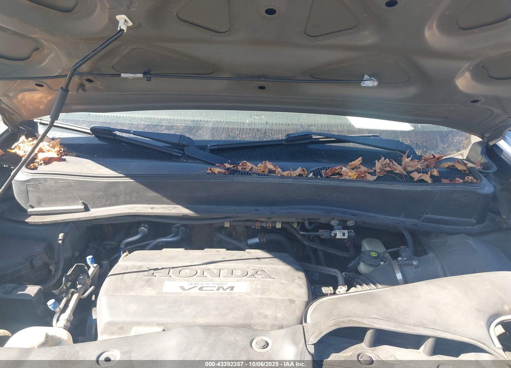 2009 HONDA PILOT EX-L VIN: 5FNYF48629B027992