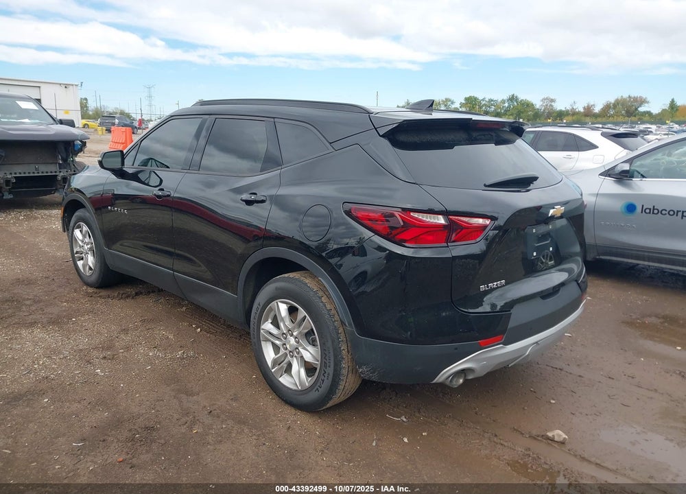 2019 CHEVROLET BLAZER VIN: 3GNKBCRS3KS570313