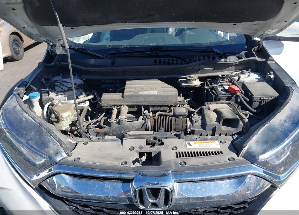 2019 HONDA CR-V VIN: 7FARW2H87KE038104