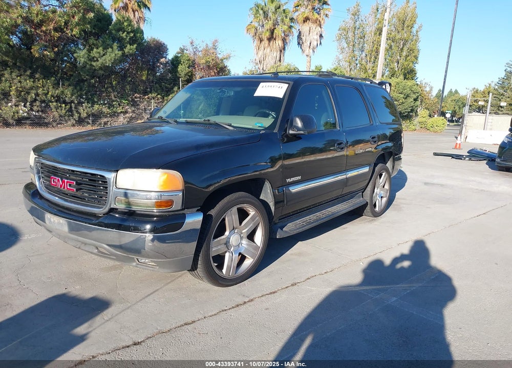 2003 GMC YUKON VIN: 1GKEC13T43R273049