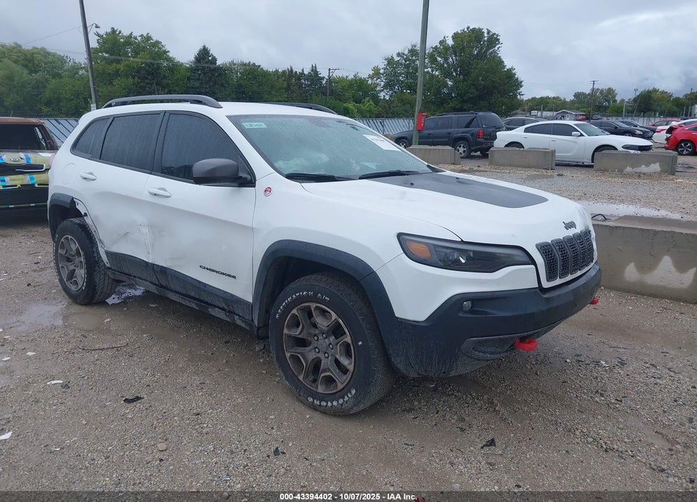 2020 JEEP CHEROKEE TRAILHAWK VIN: 1C4PJMBX0LD522363
