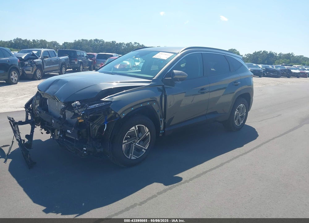 2025 HYUNDAI TUCSON HYBRID BLUE VIN: KM8JBDD10SU305689