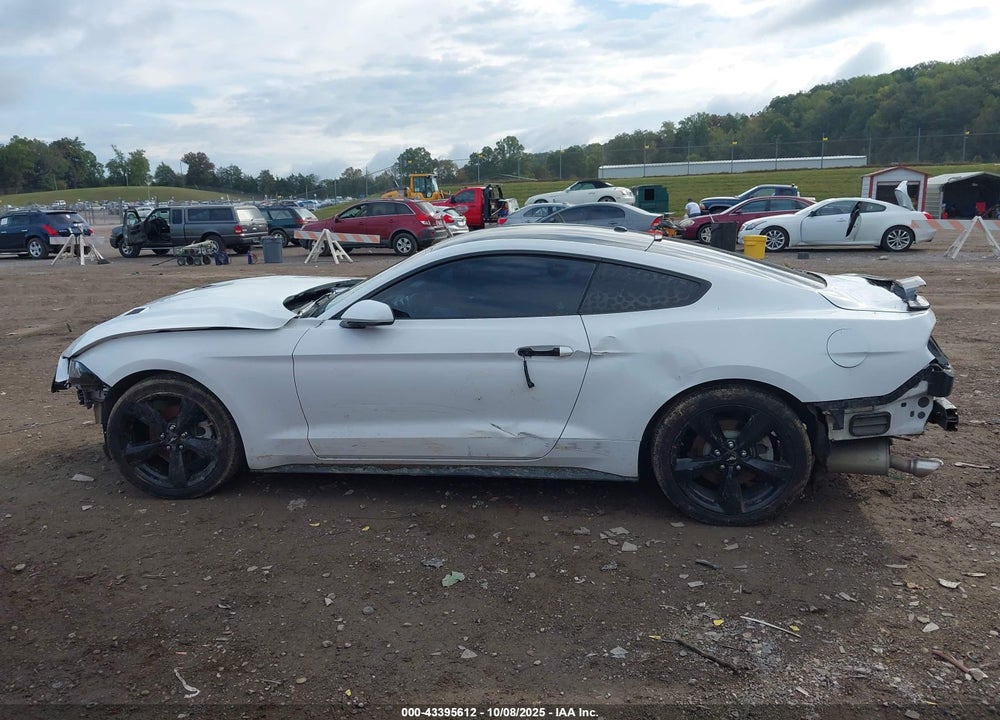 2019 FORD MUSTANG VIN: 1FA6P8THXK5129204