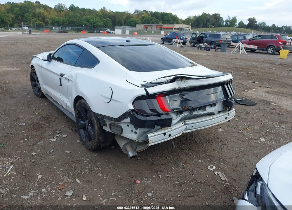 2019 FORD MUSTANG VIN: 1FA6P8THXK5129204