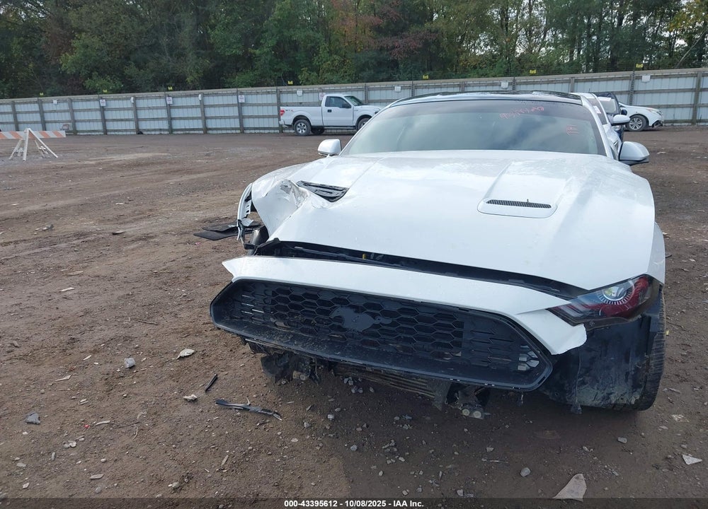 2019 FORD MUSTANG VIN: 1FA6P8THXK5129204