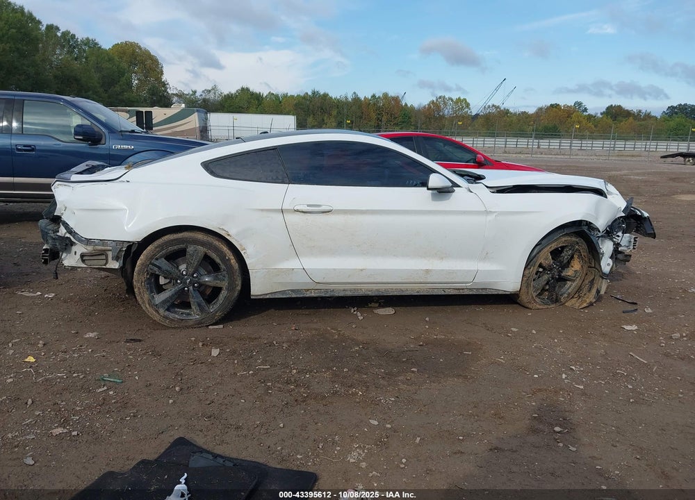 2019 FORD MUSTANG VIN: 1FA6P8THXK5129204