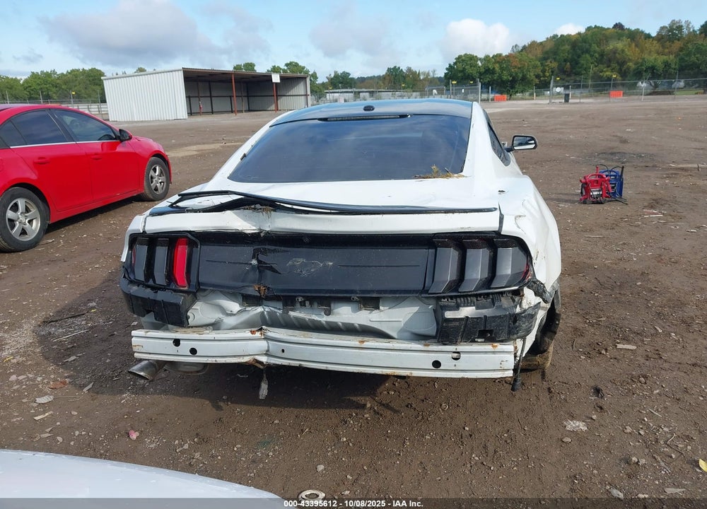 2019 FORD MUSTANG VIN: 1FA6P8THXK5129204