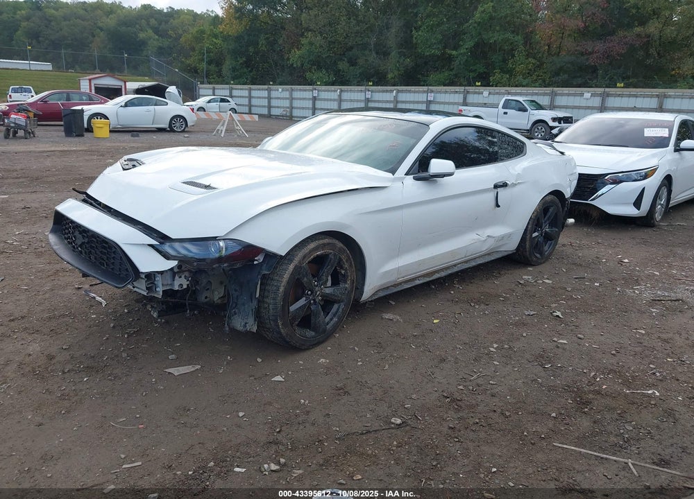 2019 FORD MUSTANG VIN: 1FA6P8THXK5129204