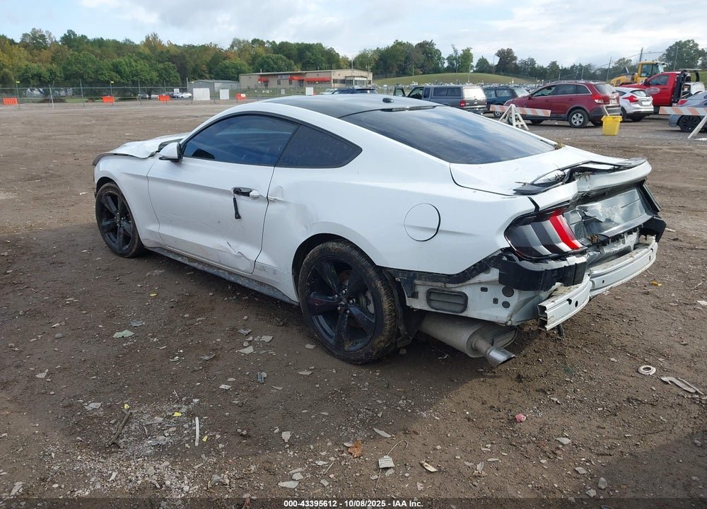 2019 FORD MUSTANG VIN: 1FA6P8THXK5129204