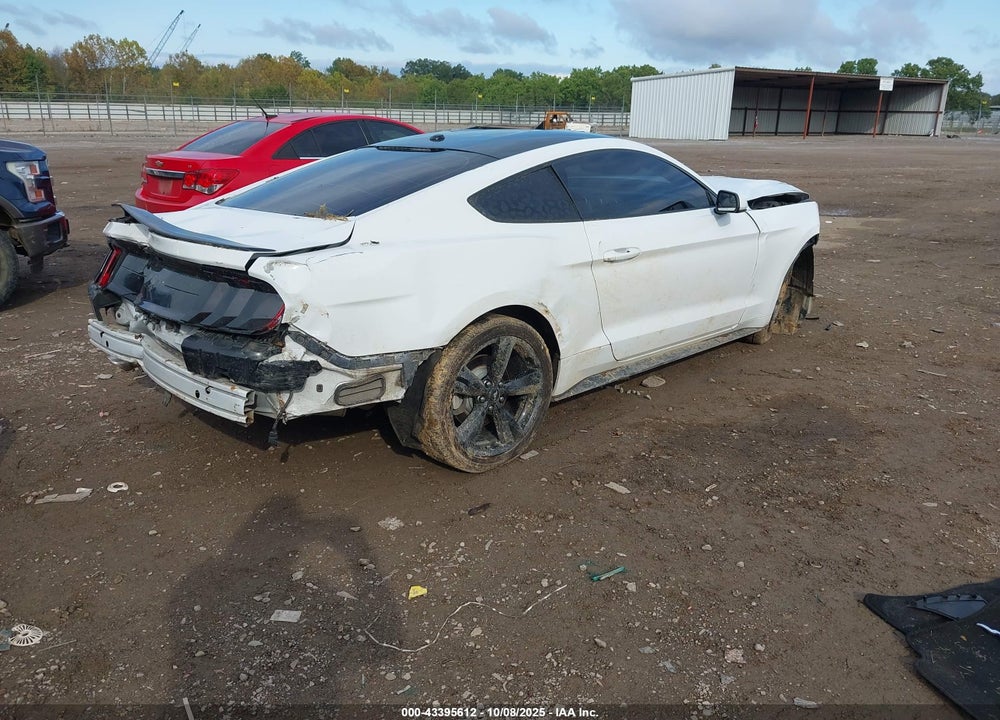 2019 FORD MUSTANG VIN: 1FA6P8THXK5129204