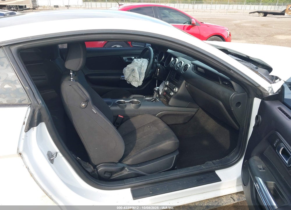 2019 FORD MUSTANG VIN: 1FA6P8THXK5129204