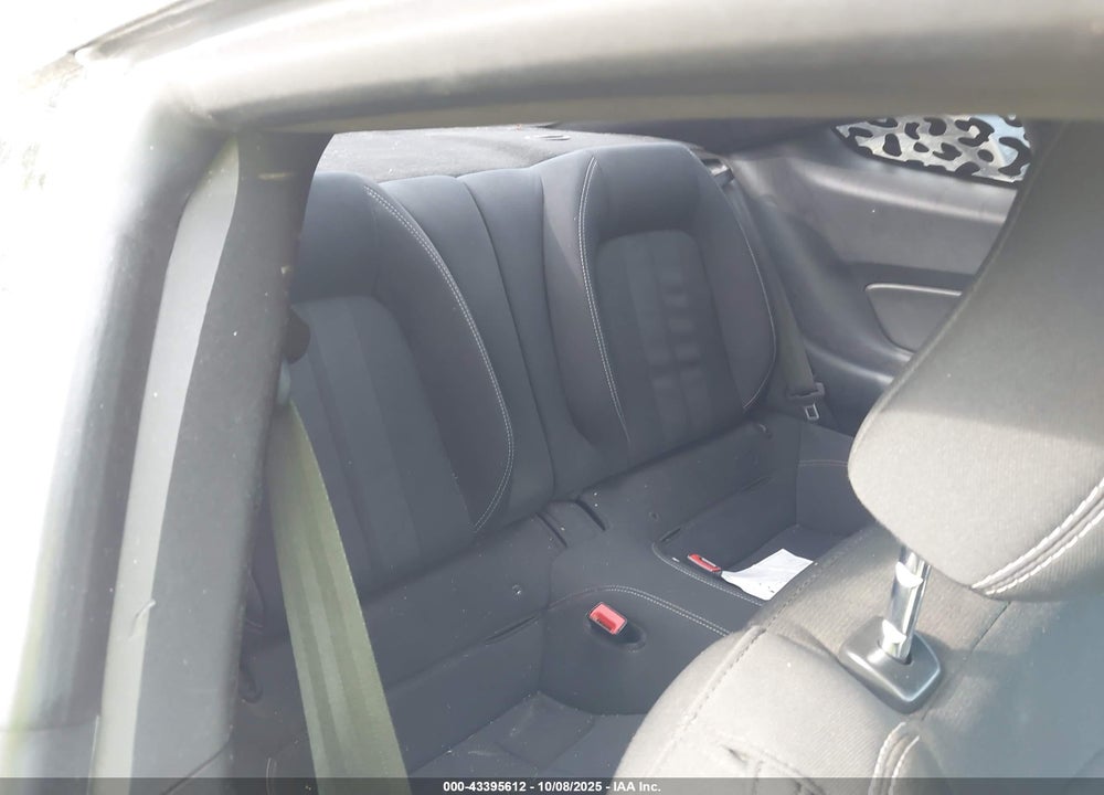 2019 FORD MUSTANG VIN: 1FA6P8THXK5129204