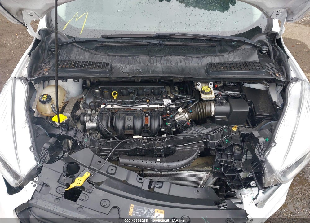 2019 FORD ESCAPE VIN: 1FMCU0F76KUC20966