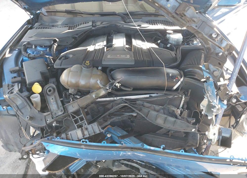 2019 FORD MUSTANG VIN: 1FA6P8CF2K5187239