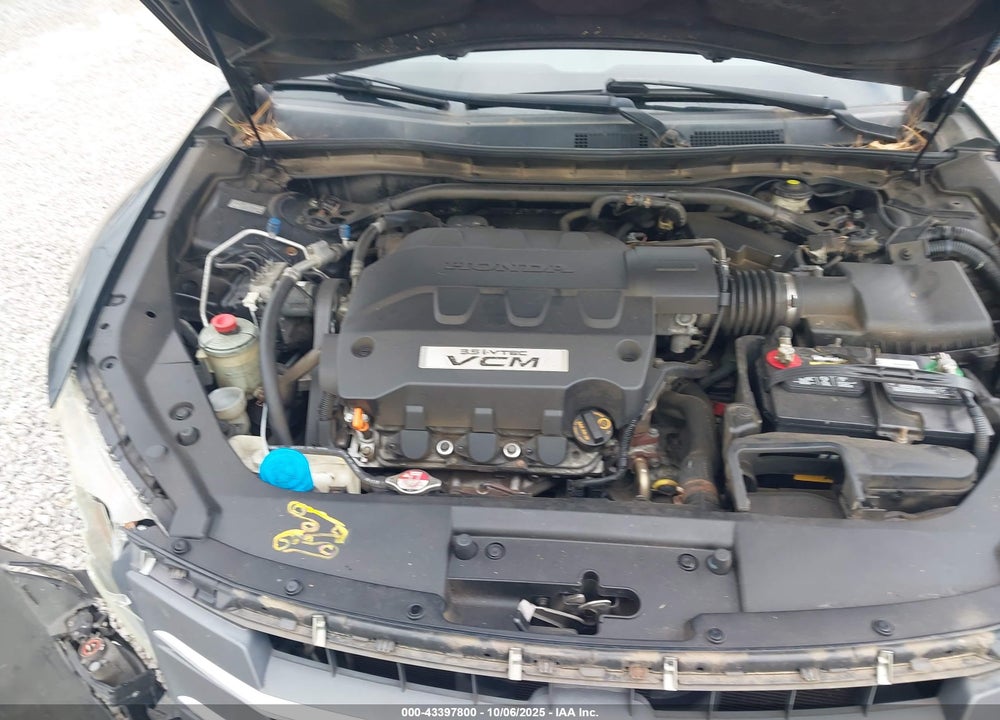 2010 HONDA ACCORD CROSSTOUR VIN: 5J6TF1H52AL011772