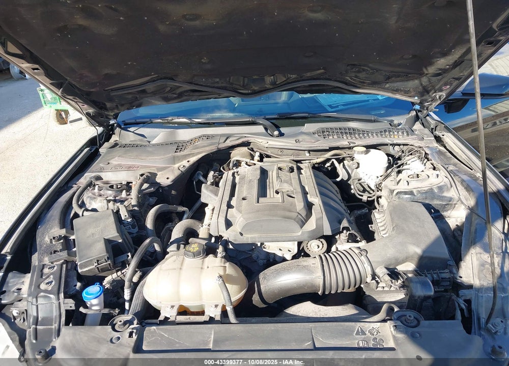 2020 FORD MUSTANG ECOBOOST FASTBACK VIN: 1FA6P8TH5L5171118