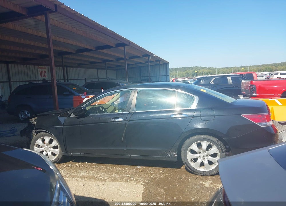 2010 HONDA ACCORD VIN: 1HGCP3F8XAA031941