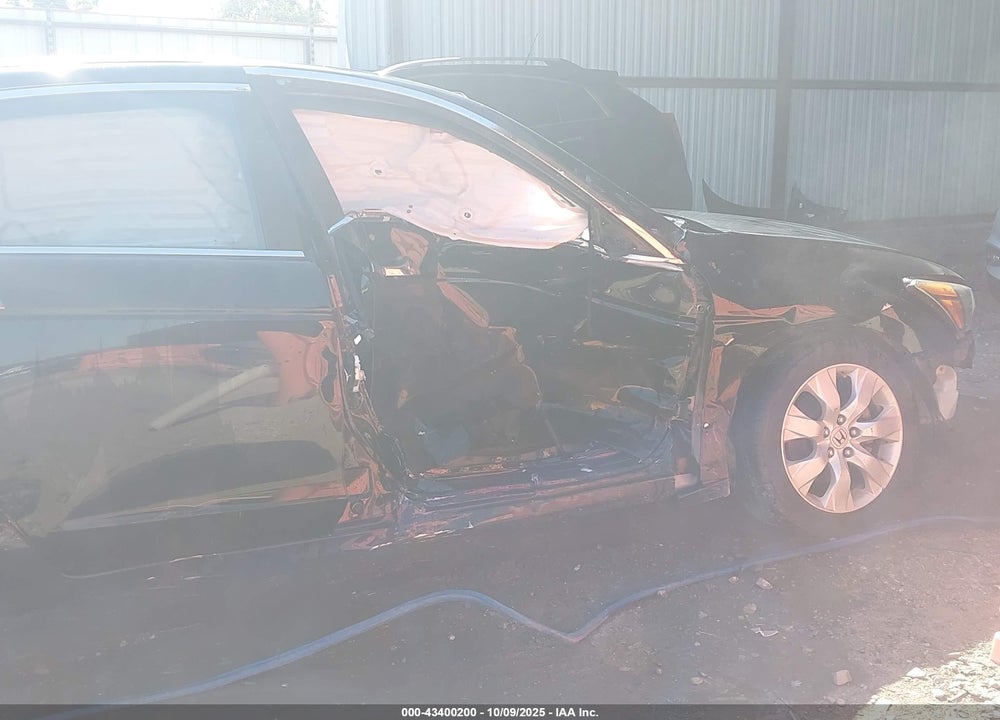 2010 HONDA ACCORD VIN: 1HGCP3F8XAA031941