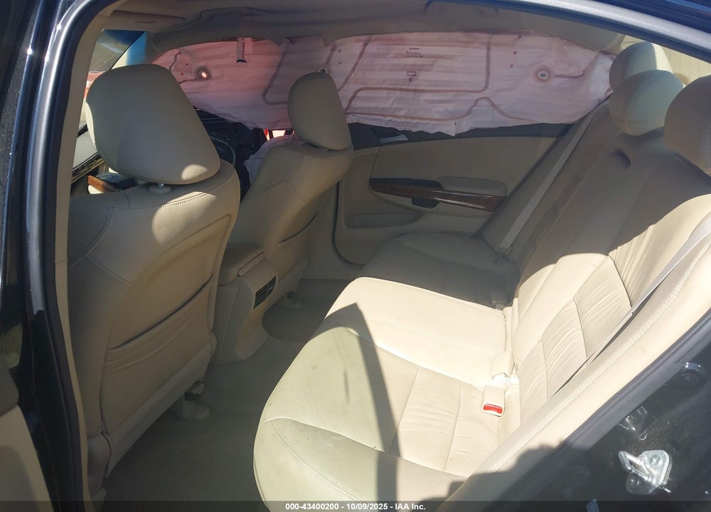 2010 HONDA ACCORD VIN: 1HGCP3F8XAA031941