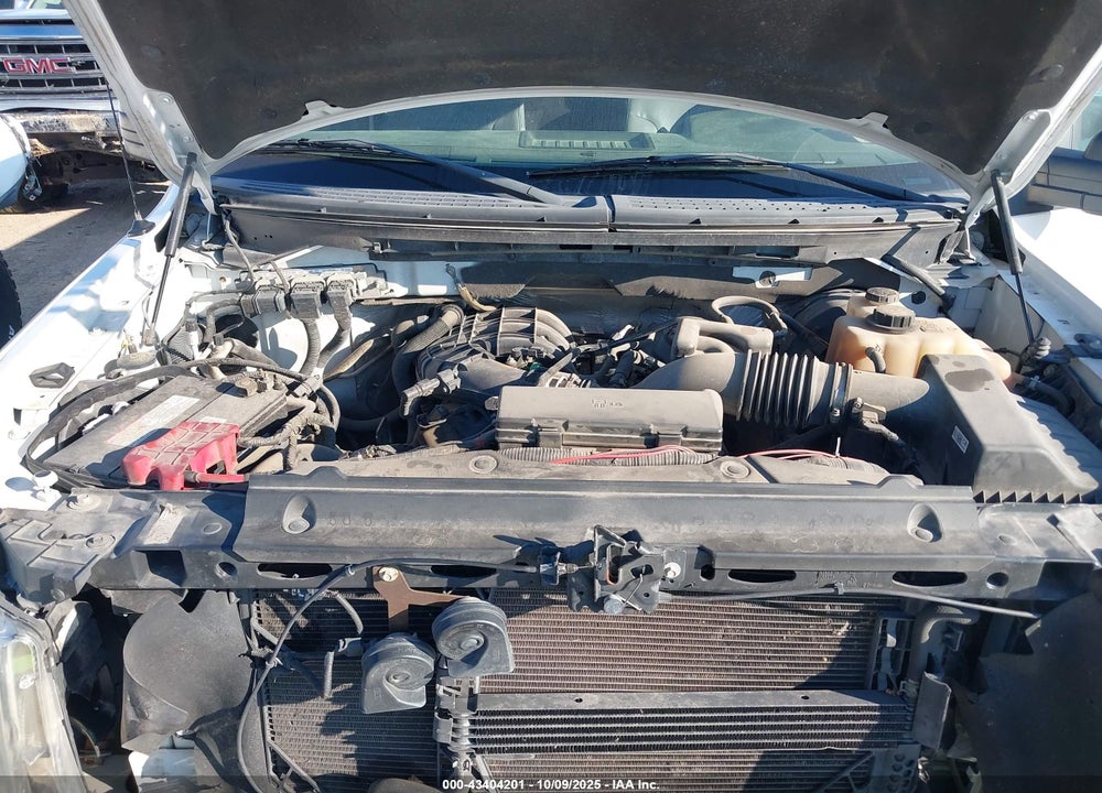 2013 FORD F-150 XL VIN: 1FTMF1CM4DKE35229